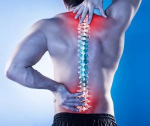 back pain discs